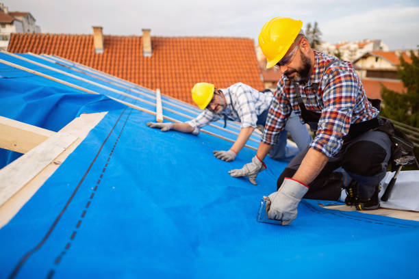 Best Roof Gutter Cleaning  in Thousand Palms, CA